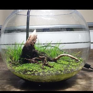 Meet your Posher, Kevin